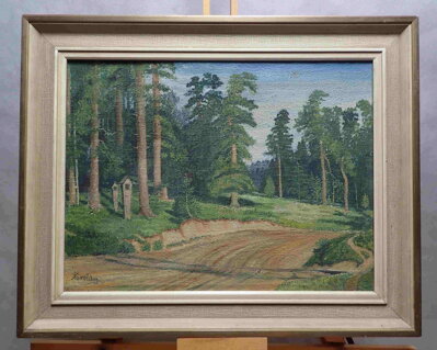 CESTA U LESA - AUGUSTA KAREL