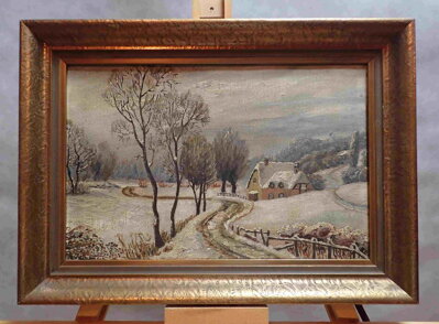 CESTA DO VSI V ZIMĚ - NEZNÁMÝ AUTOR