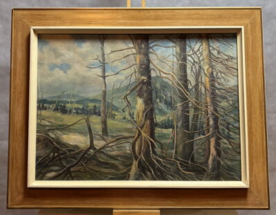 DRSNÁ KRÁSA HOR - NEZNÁMÝ AUTOR