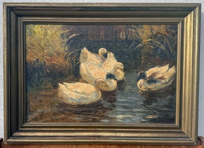 KACHNY NA RYBNÍKU - FISCHHOF GEORG SCHWARTZ K.