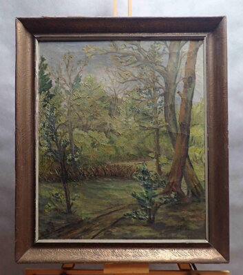 LESNÍ CESTA - HLÍNA F.