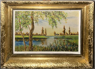 RÁKOSY U VODY - NEZNÁMÝ AUTOR