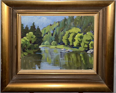 ŘEKA MEZI STROMY - TÁBORSKÝ