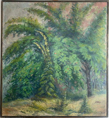 DIVIZNY U STROMU - ŠMÍD