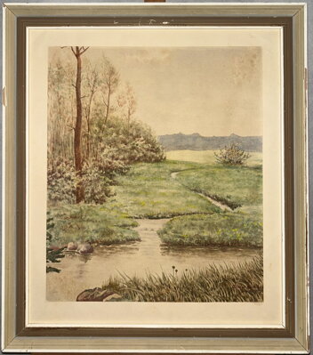 KŘOVÍ U POTOKA -  JANÁČEK MILOSLAV