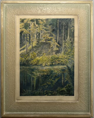 TŮŇKA V LESE - ŠEDIVÝ KAREL