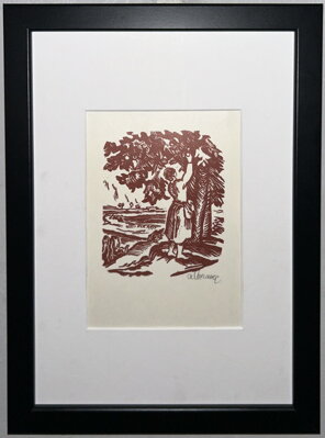 ČESÁNÍ JABLEK - MORAVEC ALOIS