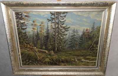 POKÁCENÉ STROMY V LESE - PECHOUŠEK