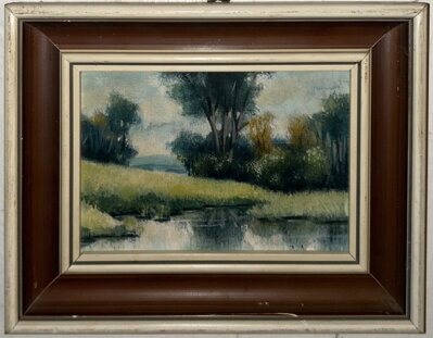 JEZERO V KRAJINĚ - VICHR LUDVÍK