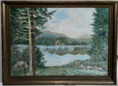 POHLED NA ŘEKU Z LESA - VISELKA