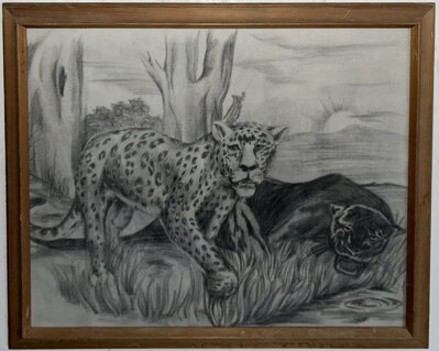 JAGUÁR A LEOPARD - SIGNOVÁN