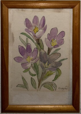 KROKUSY - KREJČÍ
