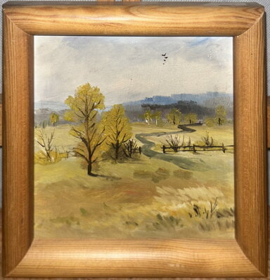 CESTA DO LESA - NEZNÁMÝ AUTOR