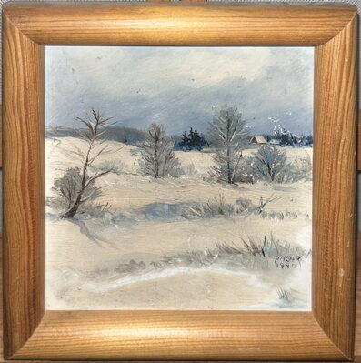 ZIMNÍ KRAJINA - PACHR