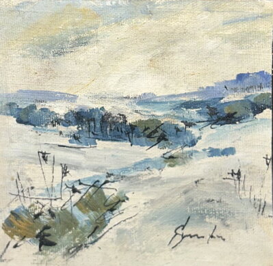 ZIMA NA VYSOČINĚ - ŠTURC JAN