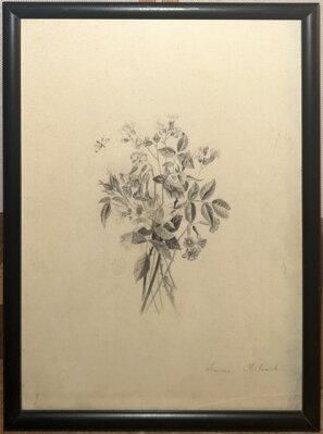 HOUSENKA NA LUČNÍM KVÍTÍ - KALVACH EMMA