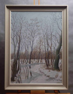 ZIMA OD JANDEROVA - KLAPKA VOJTĚCH