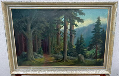 LESNÍ CESTA V PODKRKONOŠÍ - MAYER CHARLES