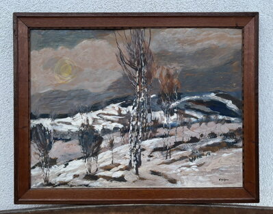 ZIMA V KRAJINĚ - MĚCHURA VÁCLAV