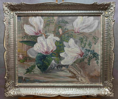 BÍLÁ MAGNOLIE - PHILIPPI
