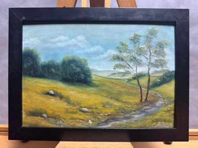 POTŮČEK POD SVAHEM - SIGNOVÁN