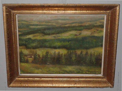 ŠUMAVA - RANDÁK JAROMÍR