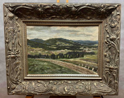CESTA KRAJINOU - ŠTĚDRÝ V.