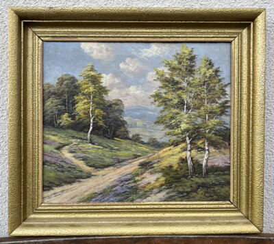 CESTA MEZI VŘESY A BŘÍZAMI - VRANÝ LADISLAV