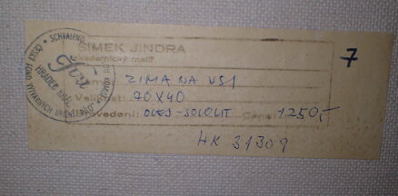 ZIMA NA VSI - ŠIMEK JINDŘICH