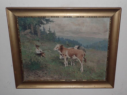 MALÝ PASÁČEK KRAV - STEIN VÁCLAV