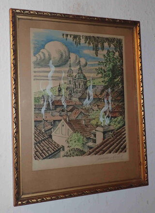 STŘECHY NAD PRAHOU - ŠVEC VÁCSLAV
