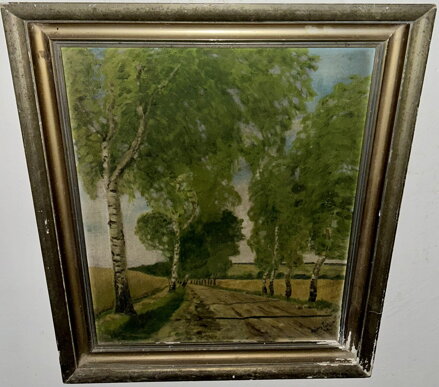 BŘÍZY PODÉL CESTY - KLIMŠA A.