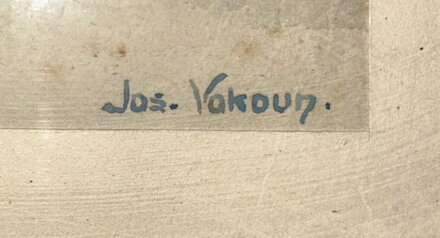 STROM U LABE - VOKOUN JOSEF