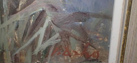 BODLÁKY - DRHA JOSEF GRUBER