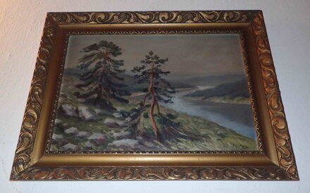 BOROVICE NAD ŘEKOU - FALTUS RUDOLF