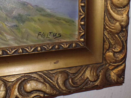 BOROVICE NAD ŘEKOU - FALTUS RUDOLF