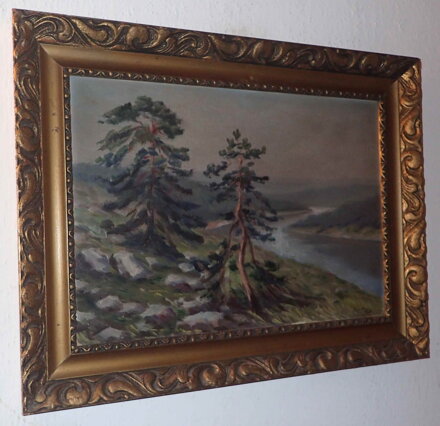 BOROVICE NAD ŘEKOU - FALTUS RUDOLF