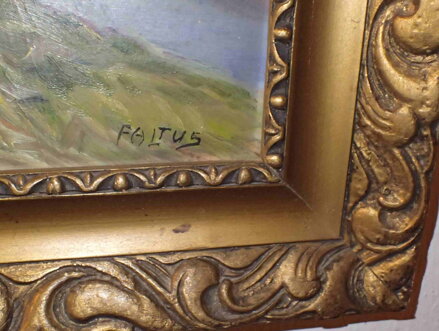 BOROVICE NAD ŘEKOU - FALTUS RUDOLF