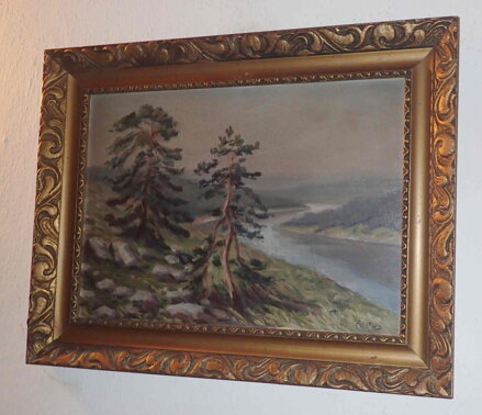 BOROVICE NAD ŘEKOU - FALTUS RUDOLF