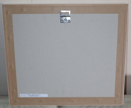 DOUTNÍK JE LEPŠÍ NEŽ LÁSKA - ČECH RINGO FRANTIŠEK