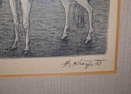 KONĚ A BOŘEŇ - KISZA HERBERT