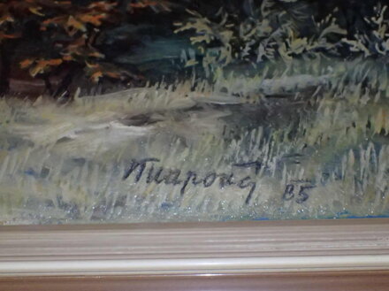 CESTA LESEM - KNAPOVÁ