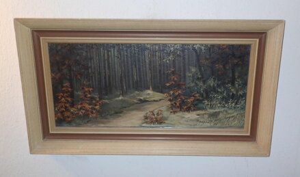 CESTA LESEM - KNAPOVÁ