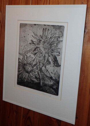 TŘAPATKA RUDBECKIA - KONRÁDOVÁ BŘEŽKOVÁ STANISLAVA (SLÁVKA)
