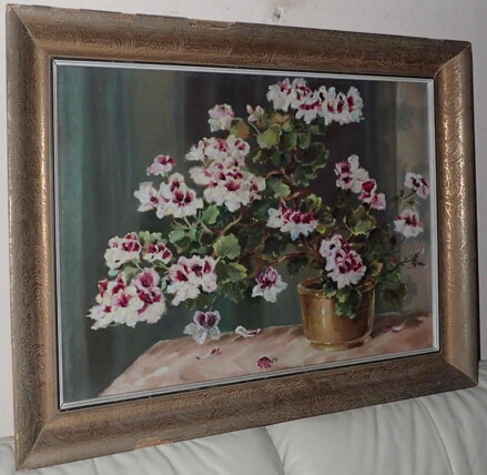 ANGLICKÁ PELARGONIE - KUBIZŇÁK JOSEF 