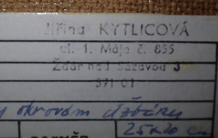 KVĚTINY V OKROVÉM DŽBÁNU - KYTLICOVÁ JIŘINA