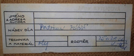 PODZIMNÍ ZÁTIŠÍ - KYTLICOVÁ JIŘINA