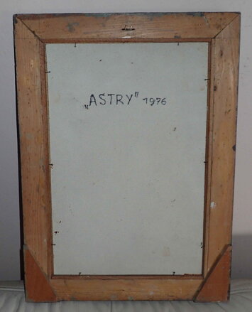 ASTRY VE VÁZE - NOVÁČEK O.