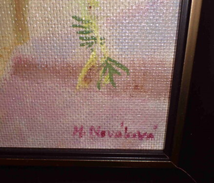 POLNÍ KVÍTÍ - NOVÁKOVÁ VÍTEČKOVÁ HANA