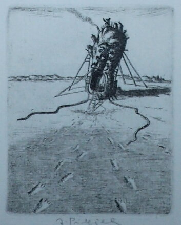 BOTA - PILEČEK JINDŘICH